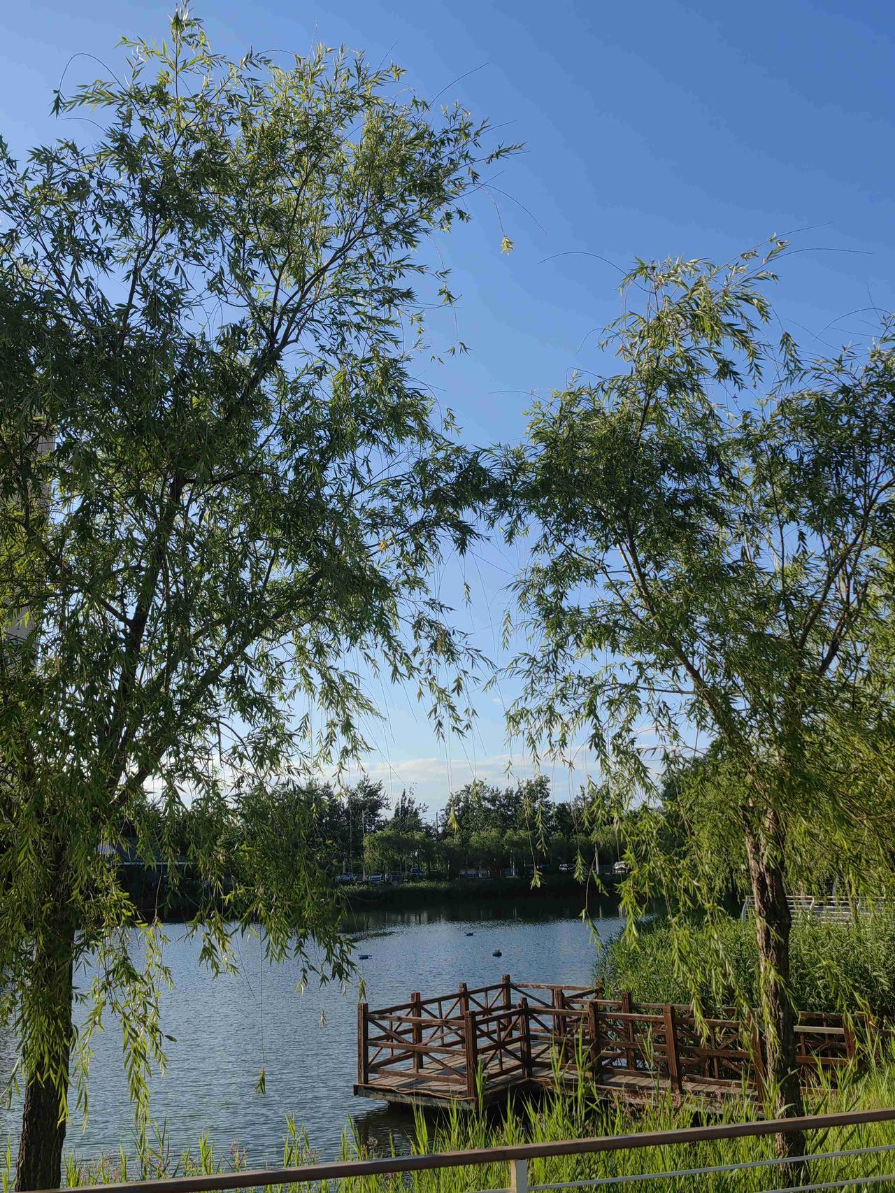 我的今日状态：😁轻松愉快
我这里的天气：☀️晴天