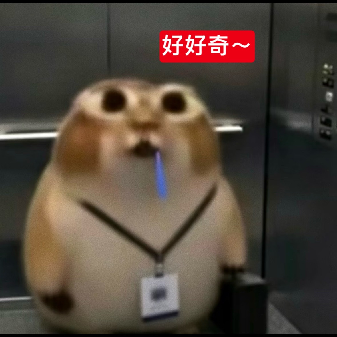 为什么29s在前五千？30s不都是一万五了吗？1s一万单？vd知道否 