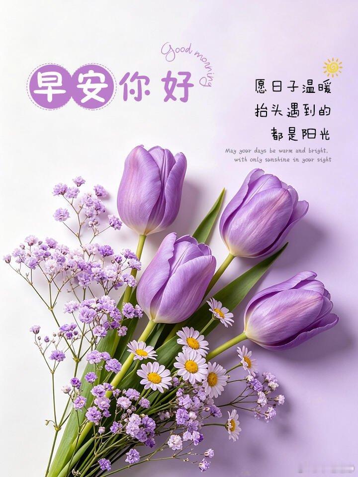 早安新的一天，清零重启。放下烦恼，接纳所有，保持乐观与热忱，奔赴属于自己的山海。