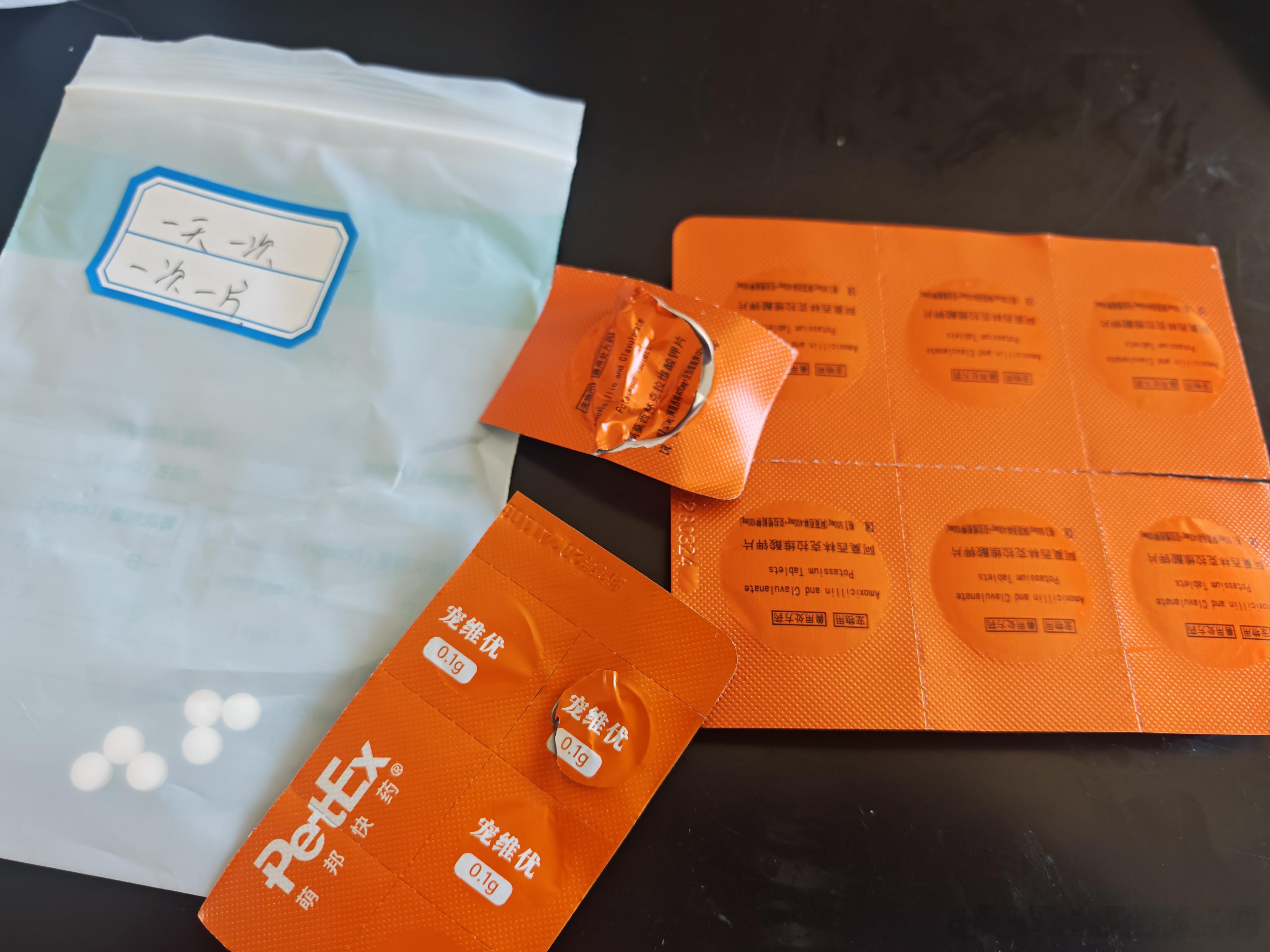 自从上次把狗子的皮肤病误诊以后，我现在狗子不舒服都是带到狗医院去看，这两天狗子有