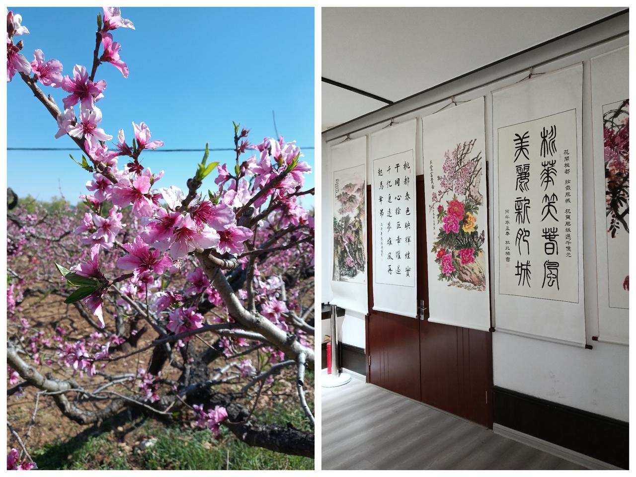 2026年4月8日，肥城市老干部局，市文联，市老年书画研究会，在肥城市书画艺术馆