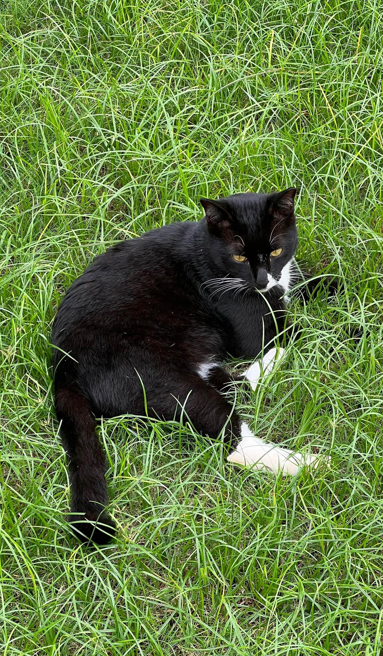 年岁渐长，越发懂得“清醒”的难得。不要被骗，守住善良的本性。我们既要在热烈的生活