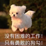 随云爱读科技
