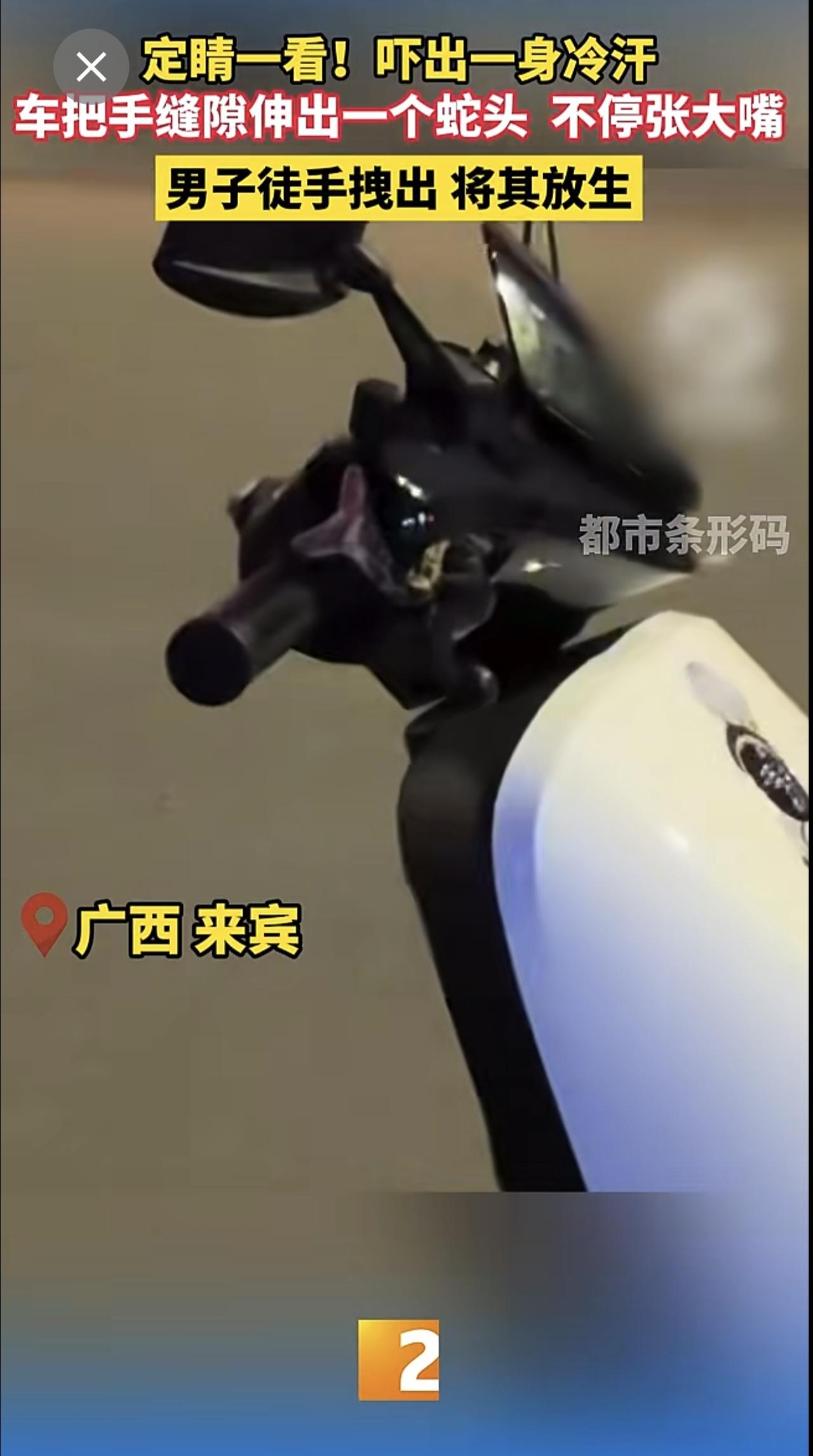 定睛一看！吓出一身冷汗 车把手缝隙伸出一个蛇头  不停张大嘴 男子徒手拽出 将其