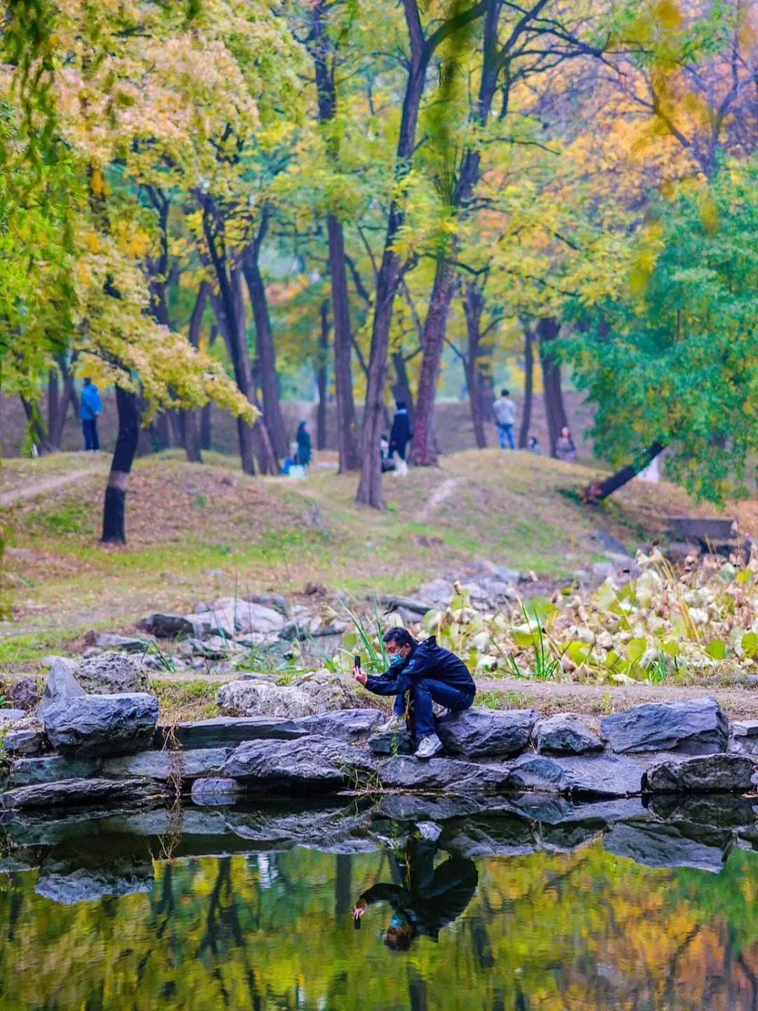 谁会不爱北京的秋天呢
今日离京城灿烂的秋天又近了一些
没有人会不爱北京的秋天吧

