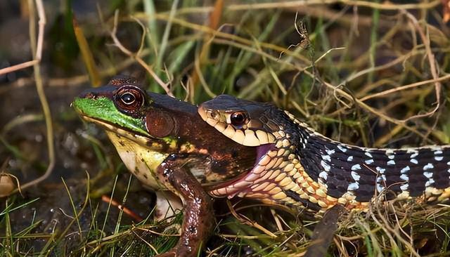 清末至民国，山河破碎，民不聊生。列强入侵、战乱频仍，社会动荡下，百姓命运如草芥。