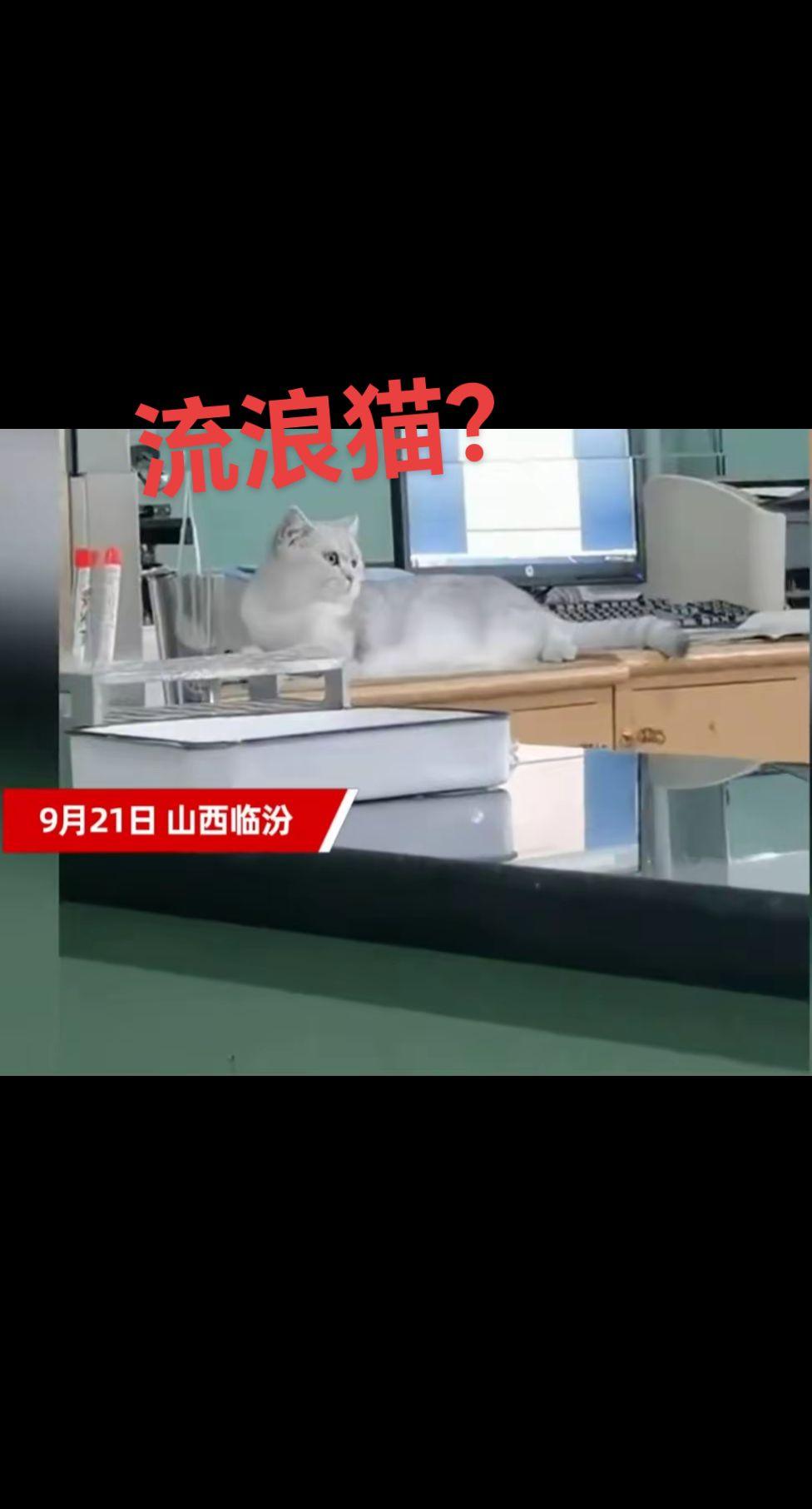 #医院