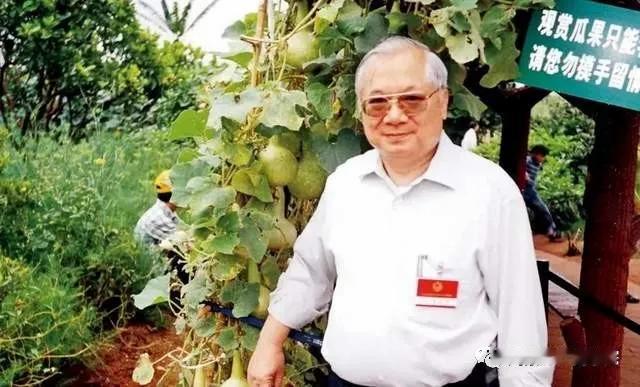 90年代，香港富商胡应湘花费30亿元建造了虎门大桥，日均进账400万，一年能有1
