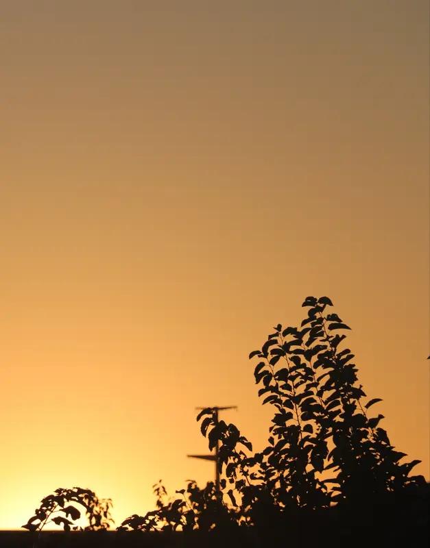 日是日，月是月，日月轮回