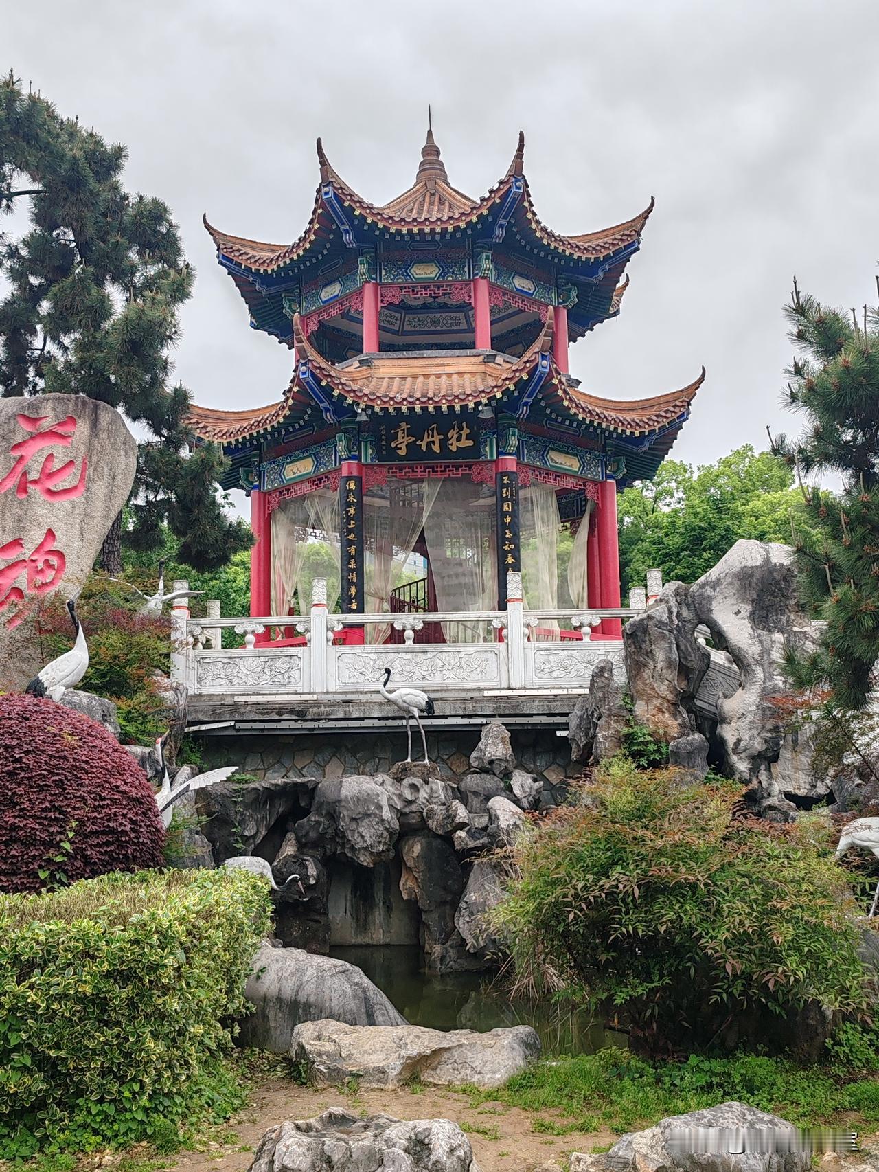 照片拍摄于2026.04.14 武汉东湖牡丹园（原创作品）！武汉东湖景 武汉公园