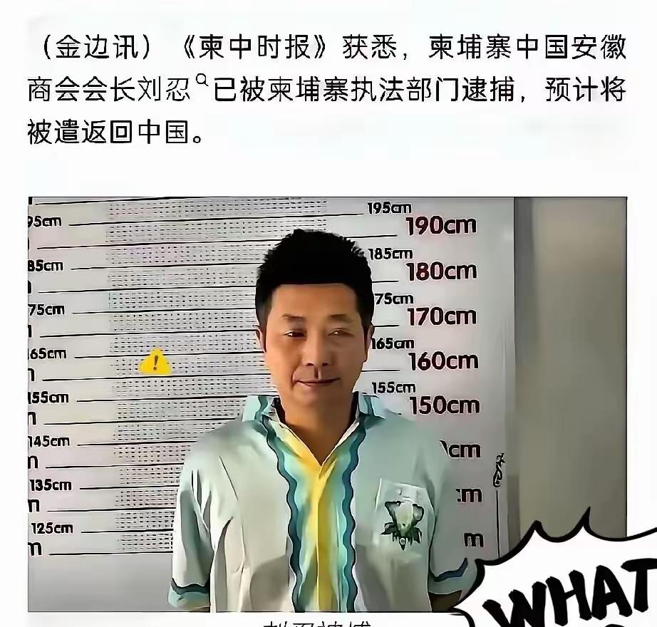 最可怕的内鬼终于浮出水面！柬埔寨电诈园区的幕后大佬，竟然是我们信任的商会会长。把