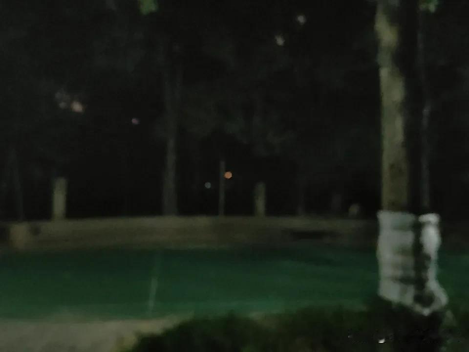 夜晚 漫步石家庄春江花月，风吹花香，把生活烦恼统统放空