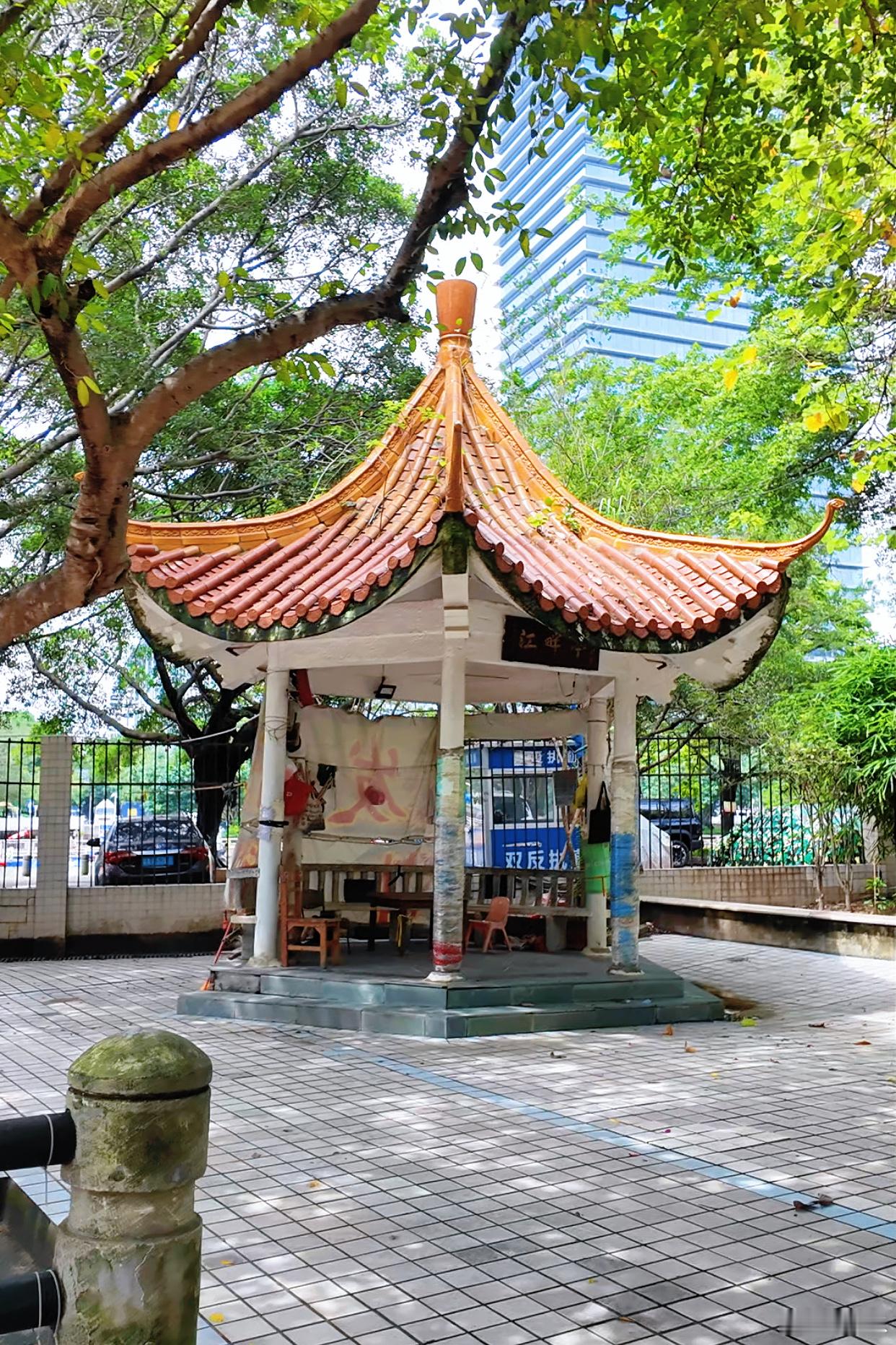 广州生活 端午将至，黄埔涌边的赤沙北码头偶有龙舟训练的身影。码头旁边的小公园的榕