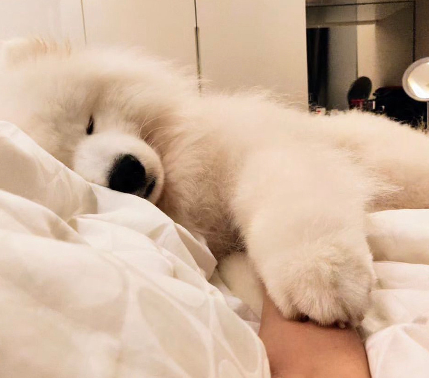 你在烦恼什么呀，睡觉要紧耶 