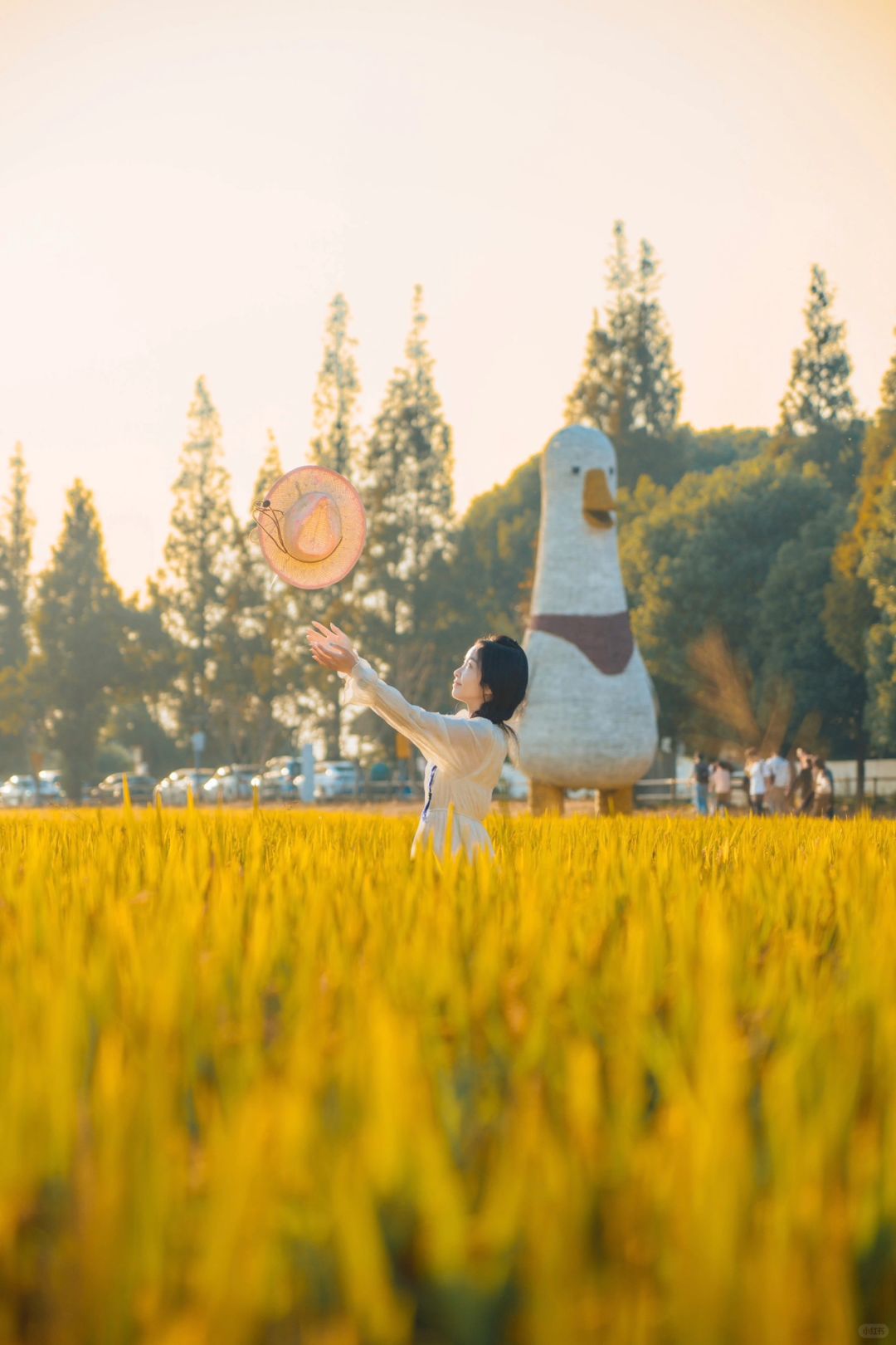 🌾秋日顶流｜来稻香扑鼻的古村落过周末吧‼️