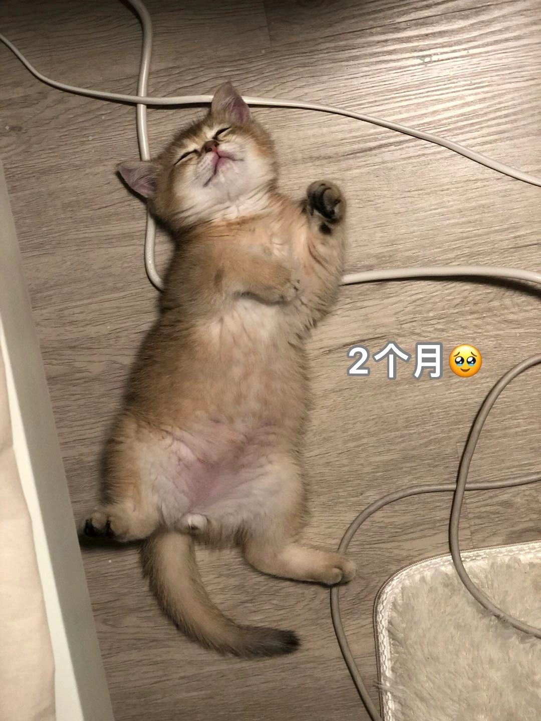 菠萝宝宝4岁生日快乐！爱你