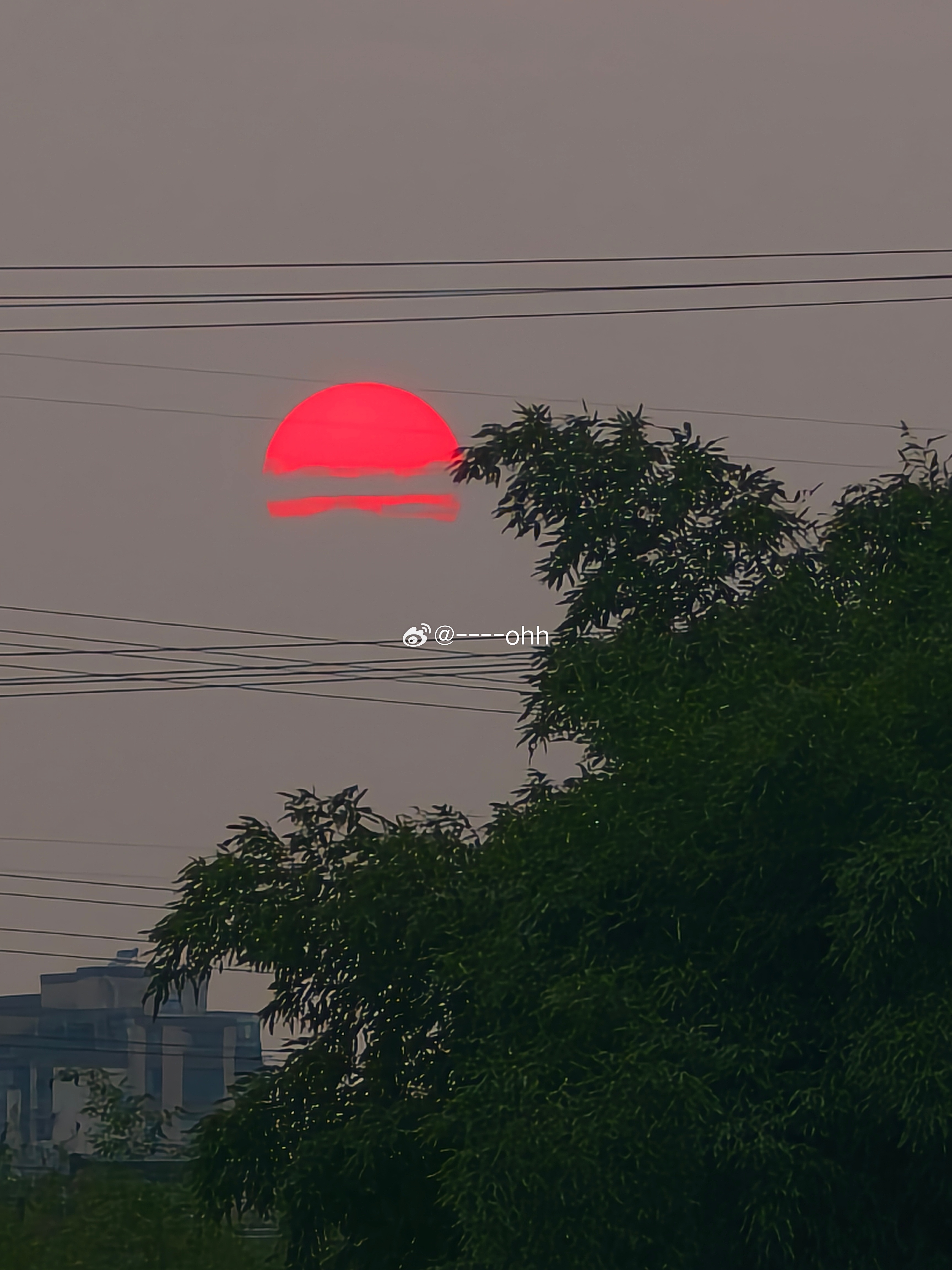 随手一拍🌄 