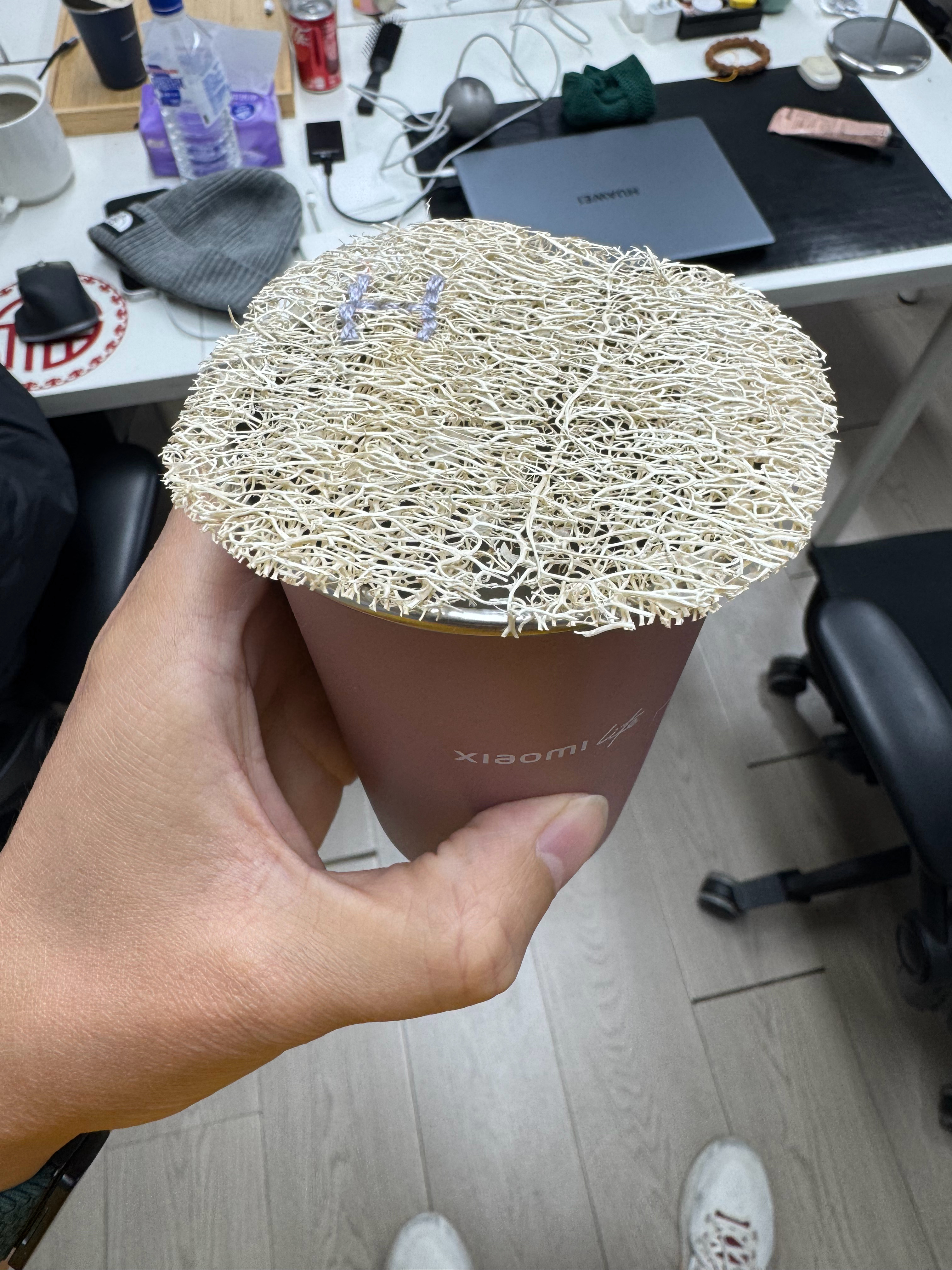 丝瓜瓤，上面还有贴心的刺绣进到办公室看到情绪价值这么高的礼物一整天都开心了起来感