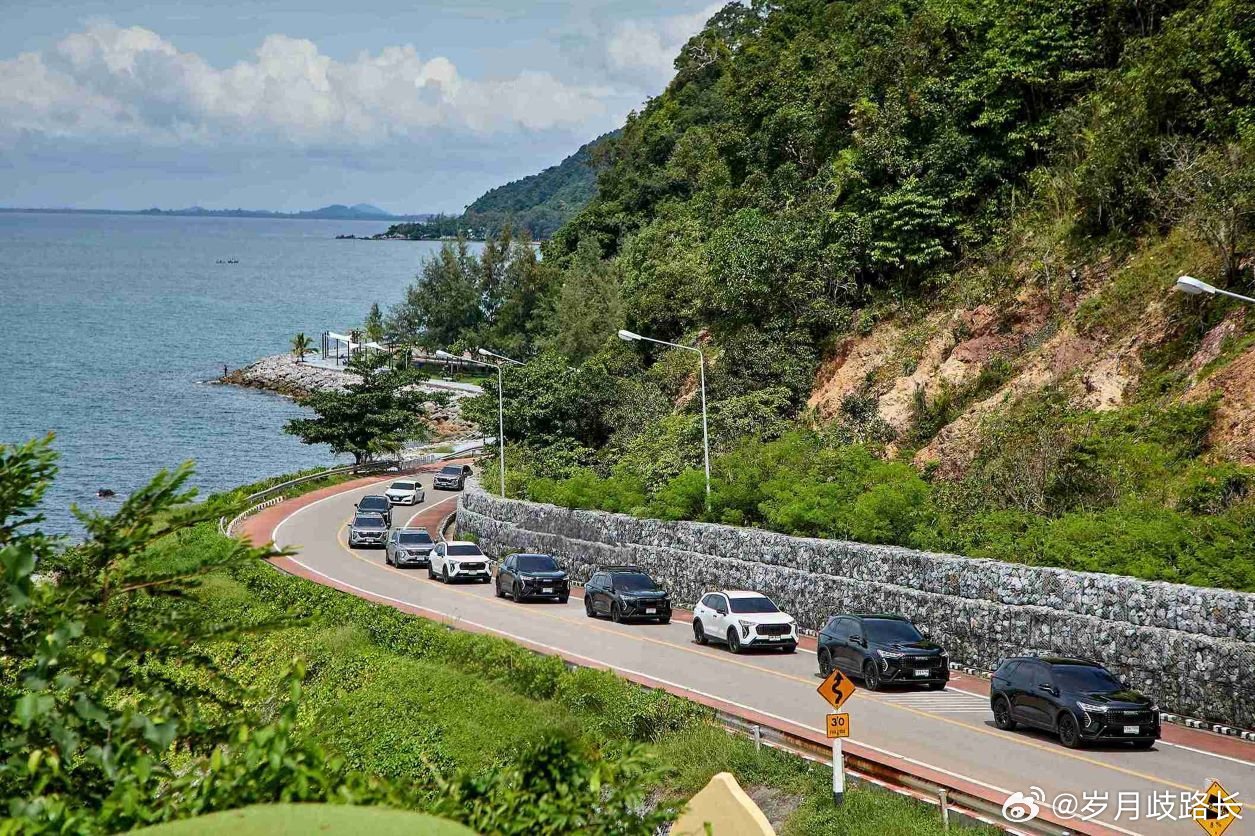 HAVAL Jolion HEV（哈弗初恋HEV）泰国小聚，泰国对黑色喜好度很高