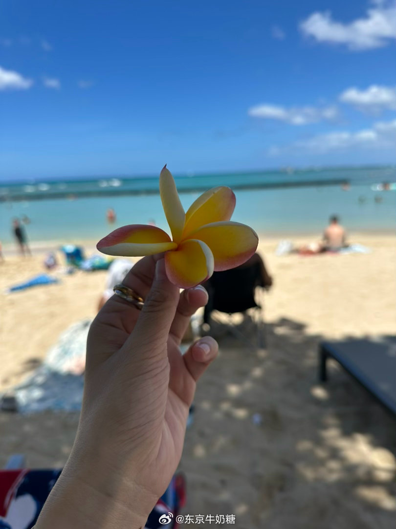 纯靠意志力在撑。好困。 美国·Hawaii wakiki bayUSA