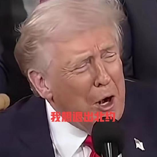 这段时间特朗普总统气坏了，叫天天不应叫地地不灵，特朗普一直想让他的盟友还有北约成