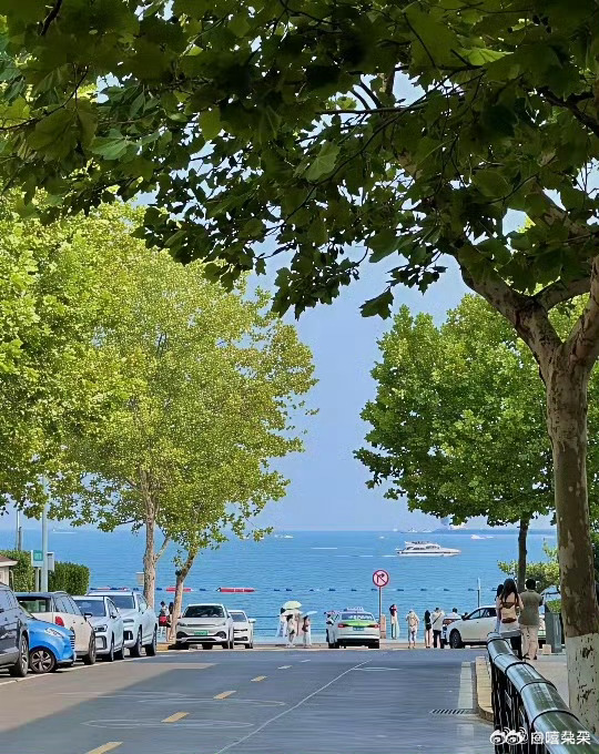 分享图片 ​​​