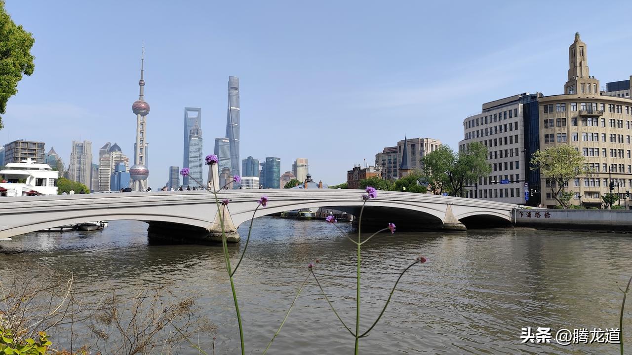 真心话茶局上海苏州河上的乍浦路桥造型优美，线条流畅，宛如海燕展翅飞翔！