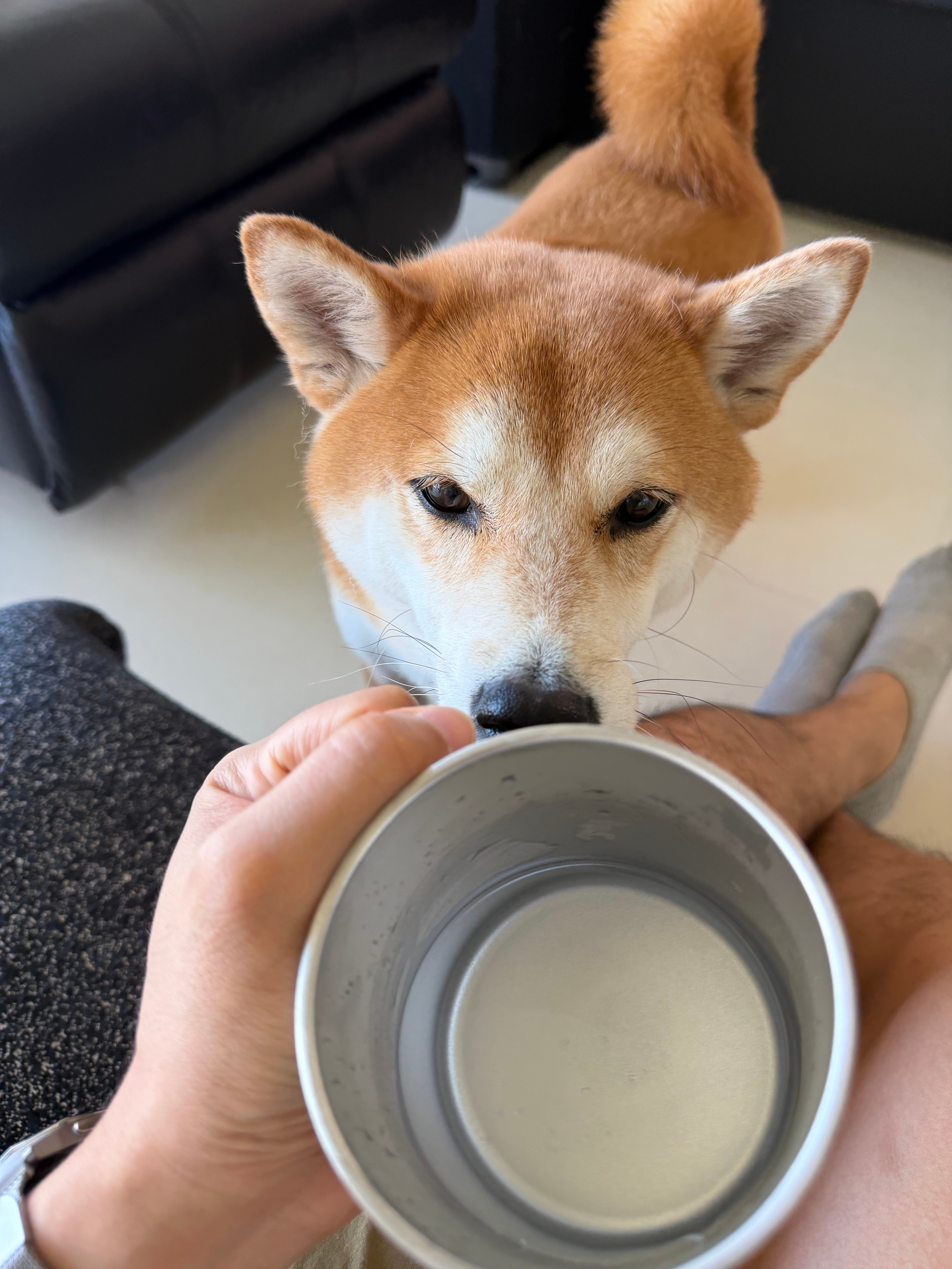 这一杯硫酸镁干下去把里面洗干净了等下我就要去照肠胃镜了 ​​​