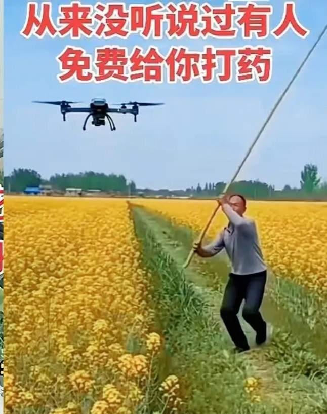 看到网传的“灭蜂计划”，真的越想越后怕！蜜蜂这些授粉昆虫哪是普通虫子，那可是咱们