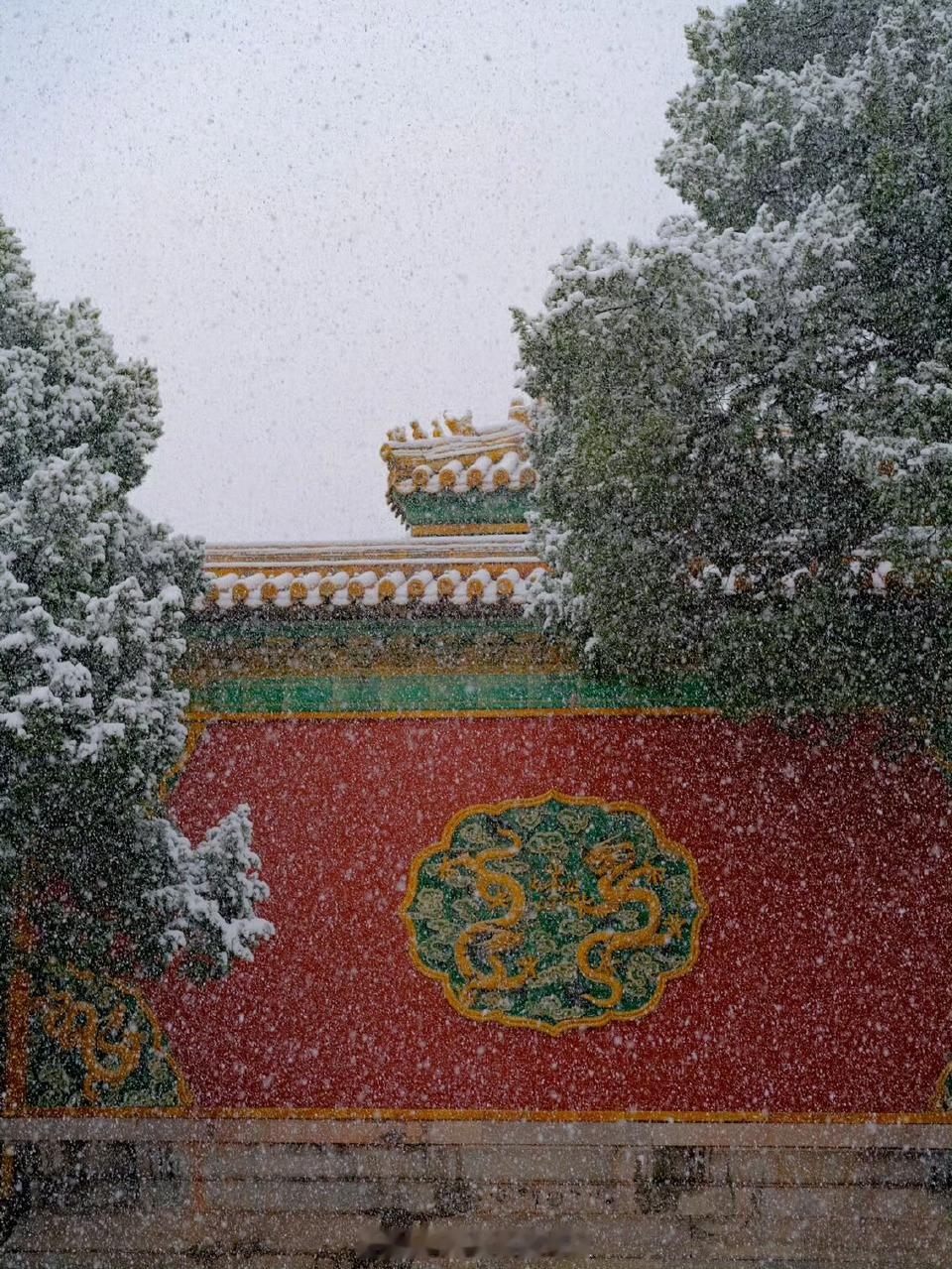 北京下雪确实好美！来南方后基本上没有那种下雪的惊喜感了，还是得住到四季分明的北方