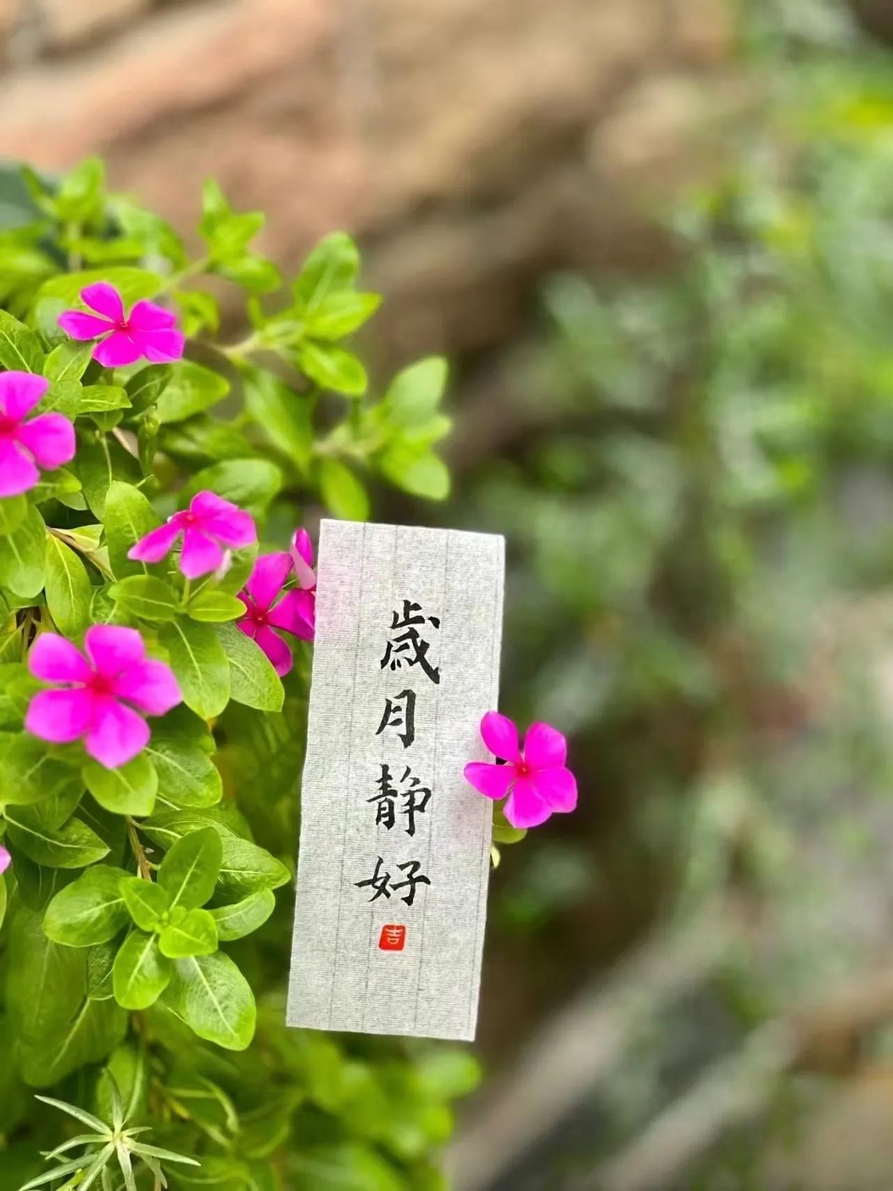 岁月静好的日子不是不存在，而是我们放宽心坦然面对。
前半生已过，后半生和自己握手