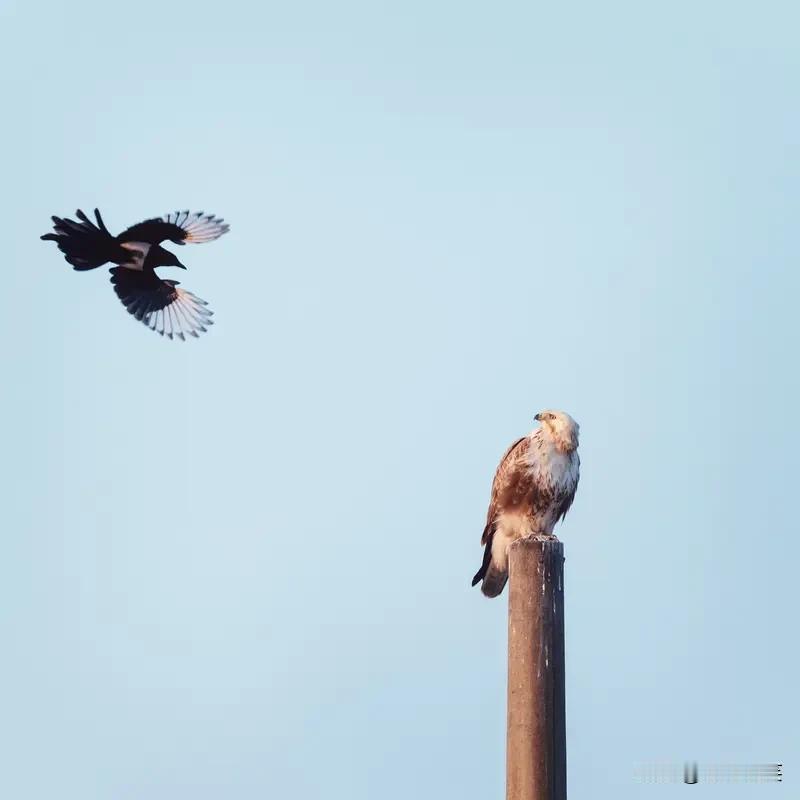 上当受骗的根本原因，往往不在于骗术多高明，而在于人心。一是“贪”，贪图小利、不劳