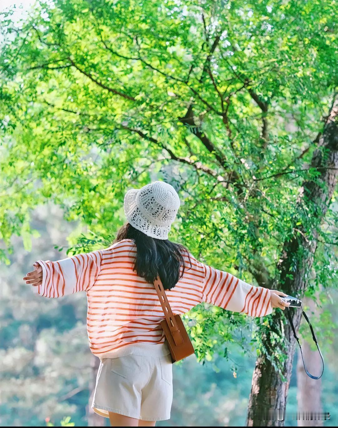 人生如伞，风雨来时坦然撑开，晴日便从容收拢，张弛有度方得自在。人生如筷，遇事敢于