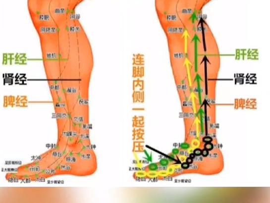 引火归元——小腿内侧往上捋
所谓引火下行，实际就是引气下行，主要降的是胆胃之气。