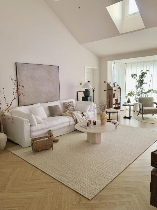 这就是普通牛马的家吧，不豪华但温馨～