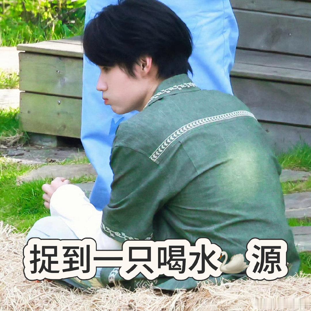 陈哲远密逃把鹅叫当惨叫密室大逃脱一提张真源大家都默认他容易害怕，陈哲远听见异响下