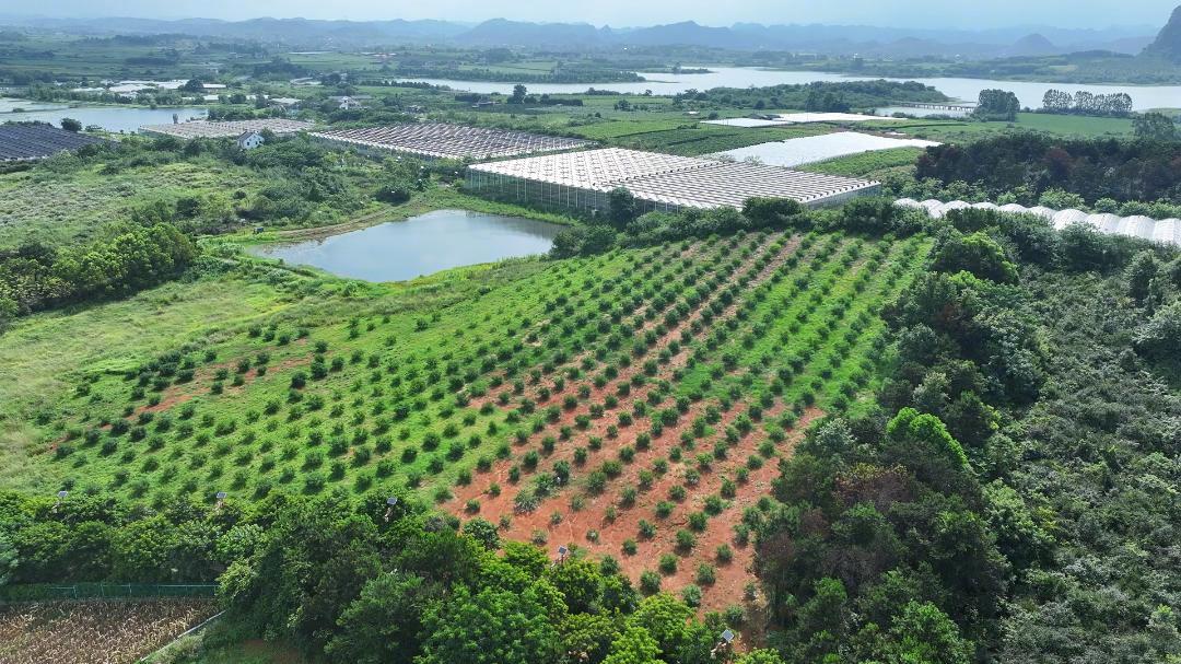 ✨在贺州富川，藏着一座科技与田园相融的农旅综合体🌱富川生态高值农业科技示范园，