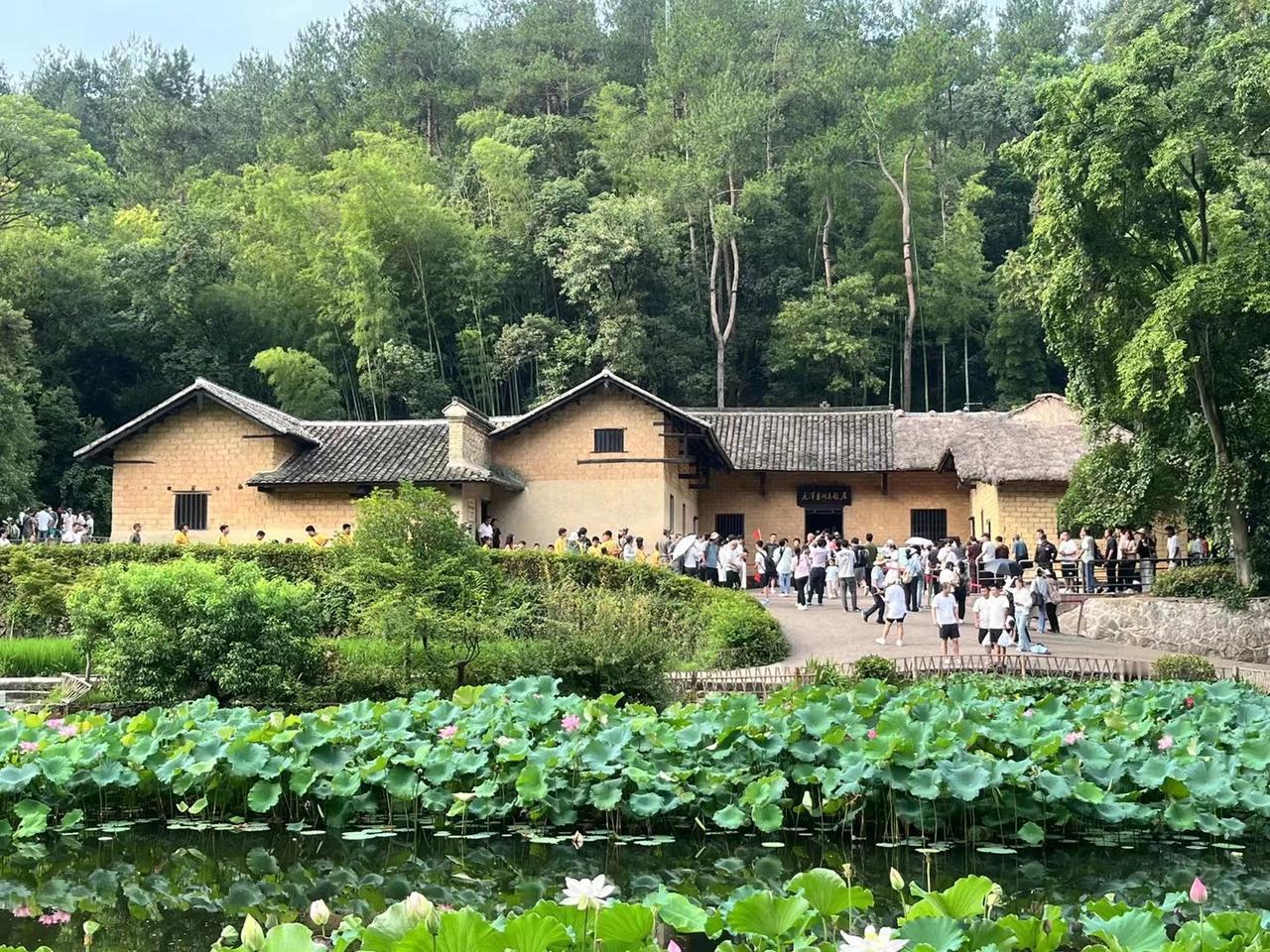 充满鲜花的世界到底在哪里 感受大自然的美好
