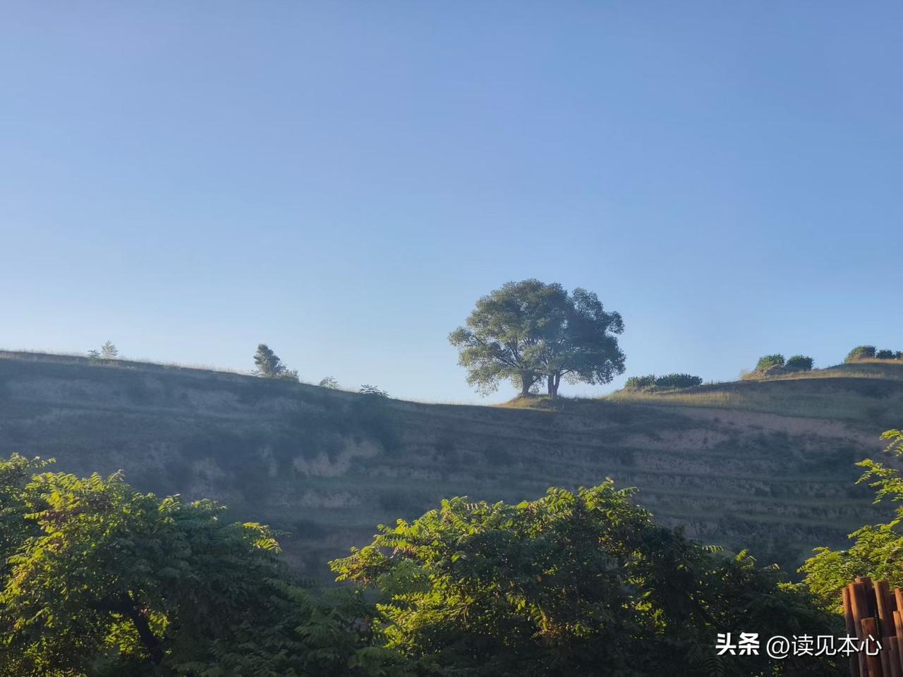 一个家庭最掉价的，是父母五六十岁时，处于以下几种状态：
第一种，一辈子攒不下积蓄