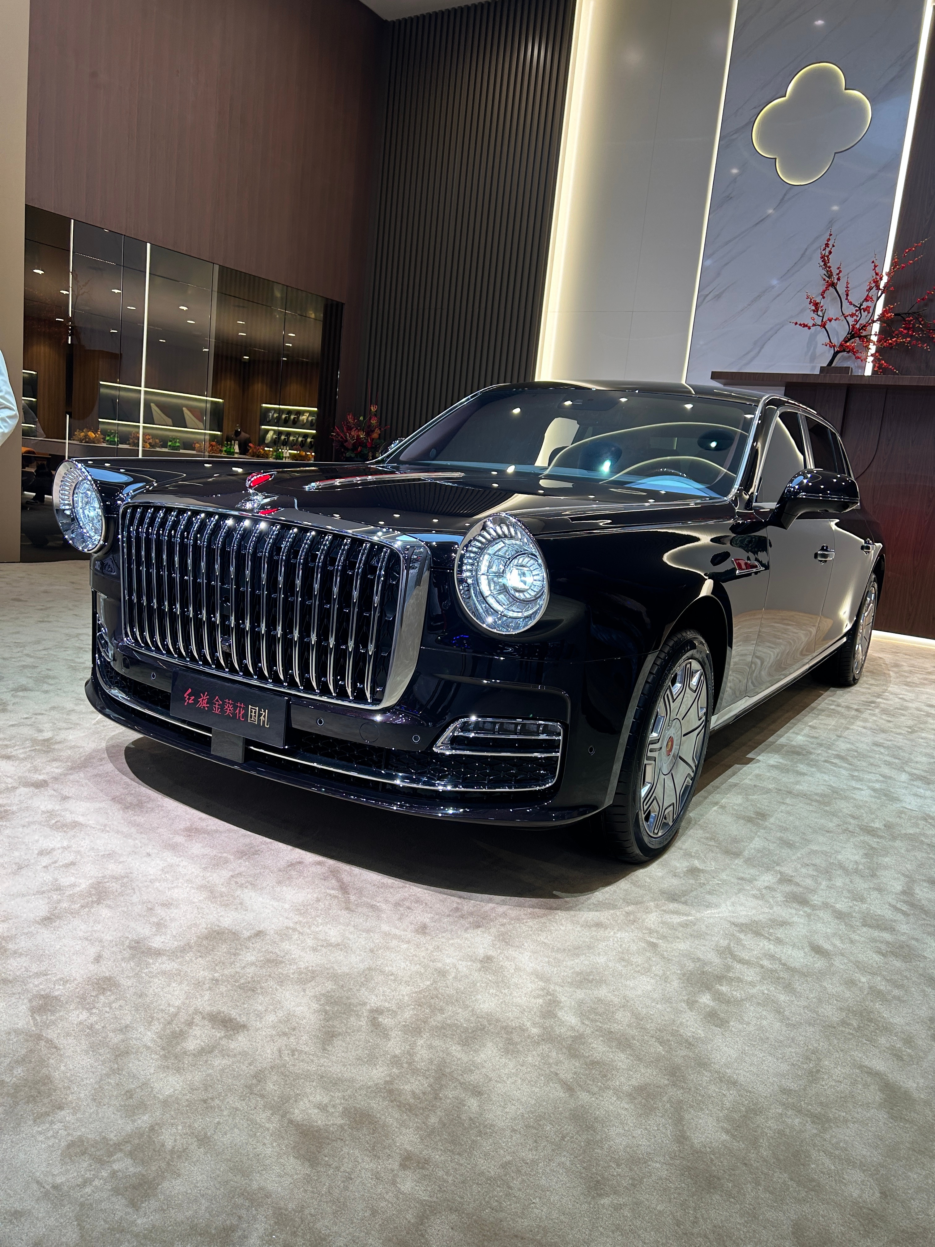 国礼、国雅，气场拉满！ 