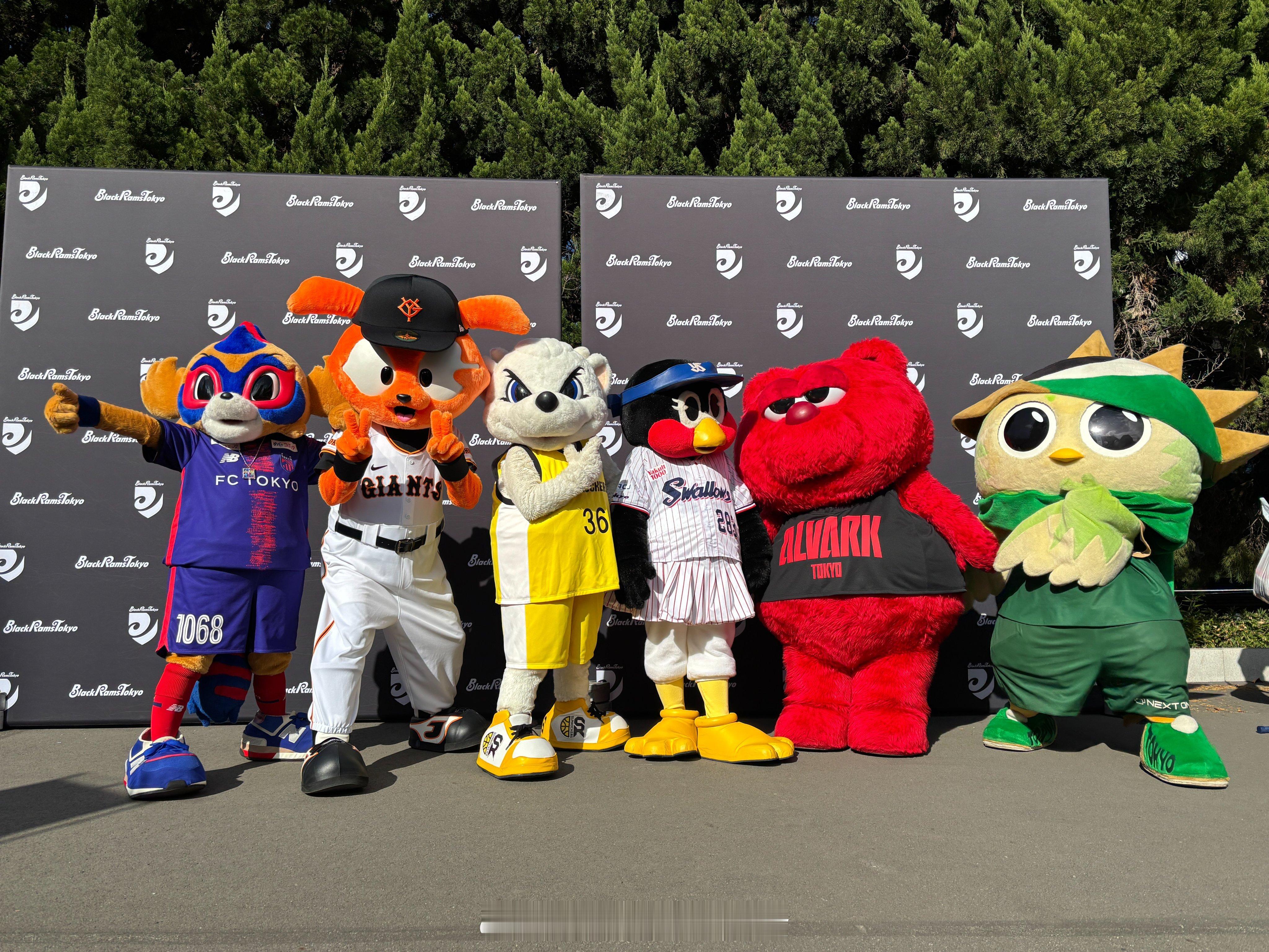 足球、棒球、篮球和橄榄球队的互动！ 