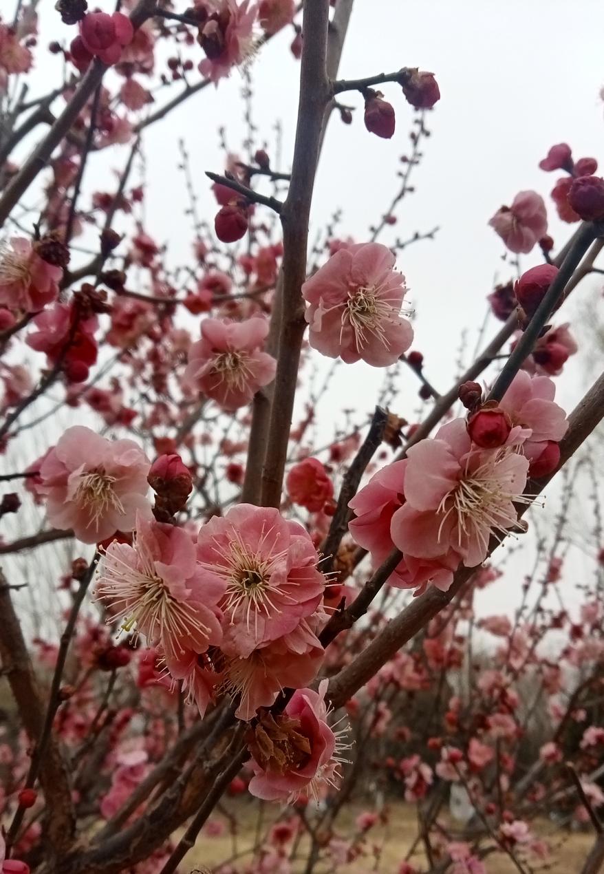 首先，我们得明确电信诈骗借助的工具是电信和通讯设备。既然明确了这一点，从源头上进