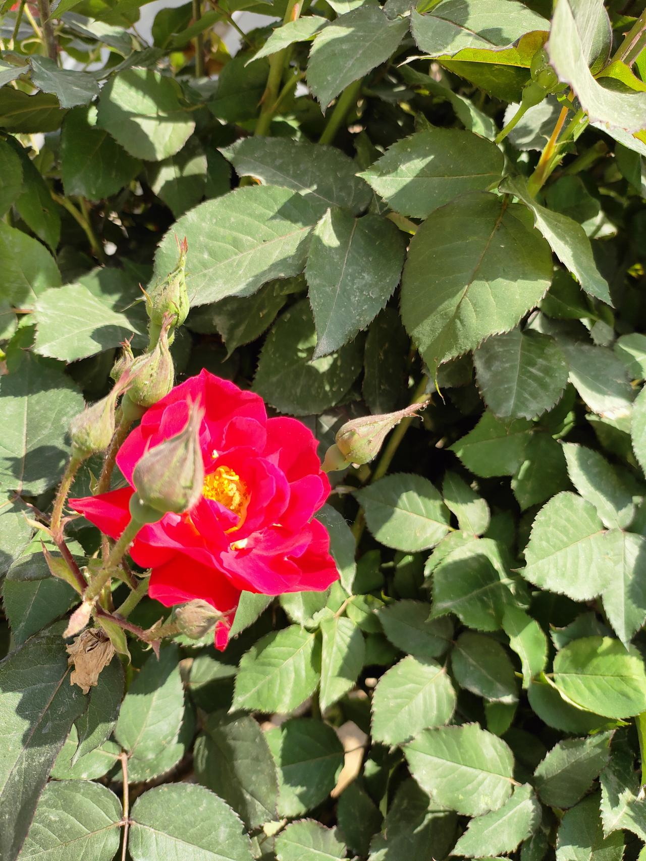 人生下半场，只修两件事——身无病苦，心无挂碍
 
人活到后半辈子，才算真正活明白