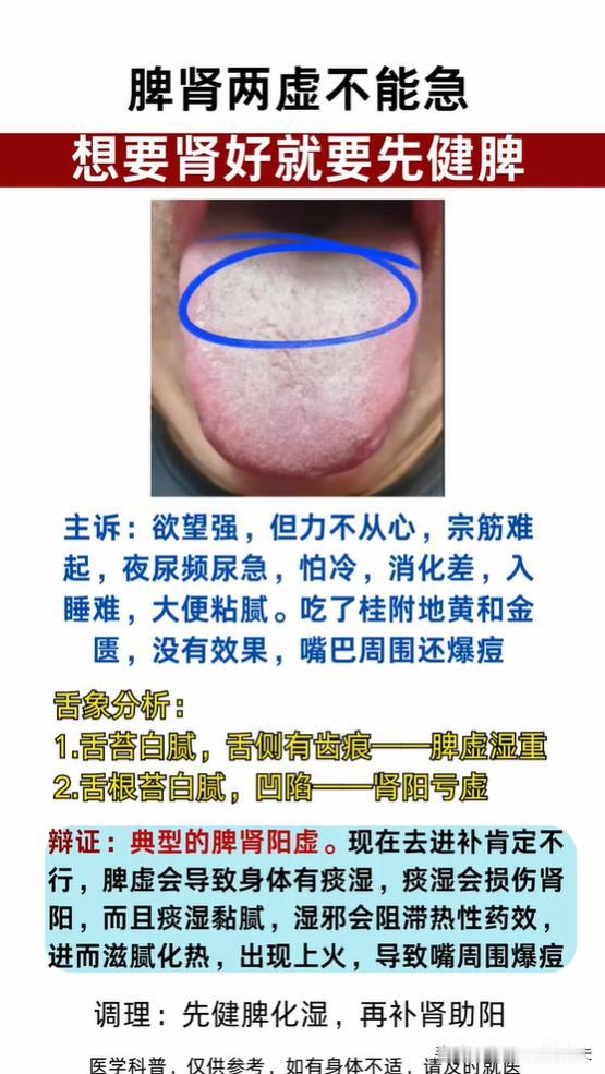 脾肾两虚别乱补，肾好先得把脾养好