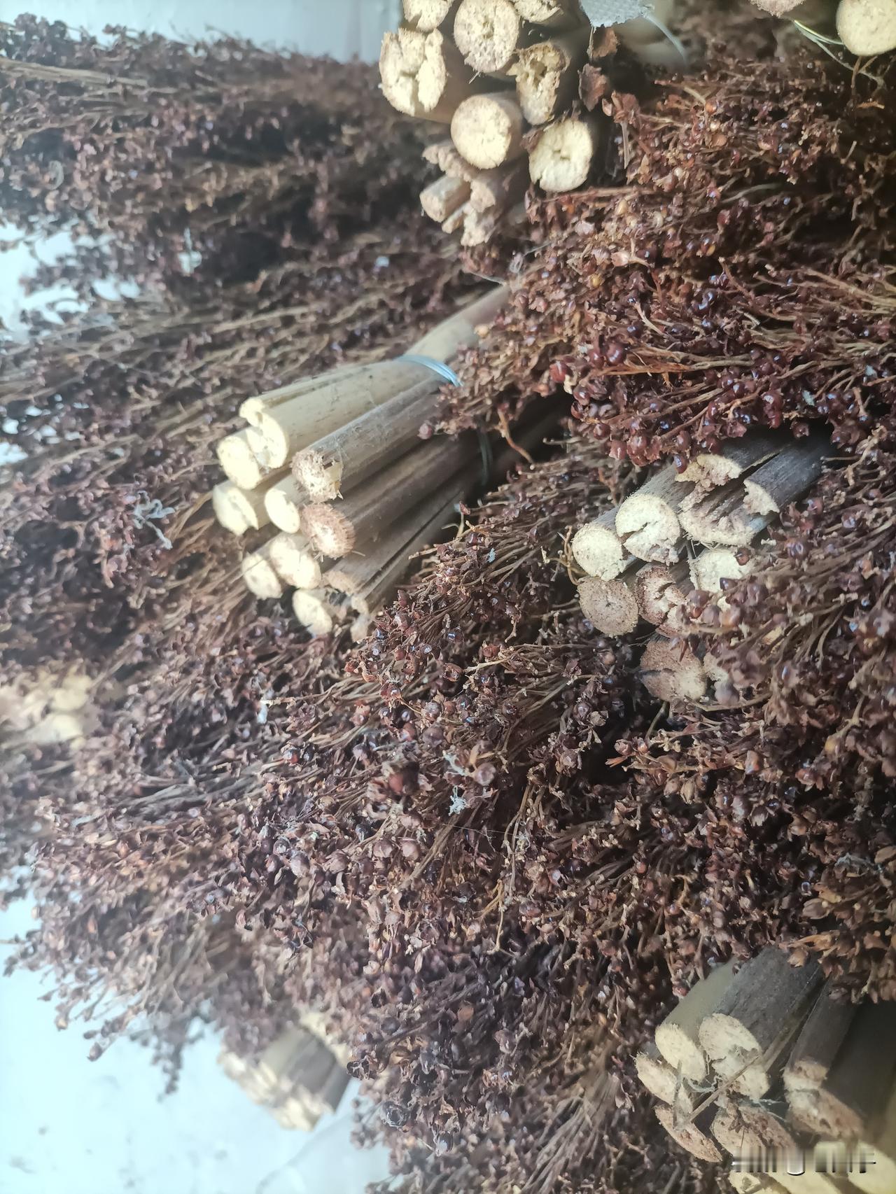 过去年代刷锅的刷帚都是自己扎的，基本都是用高粱的头扎的，现在基本种高粱的已经没有