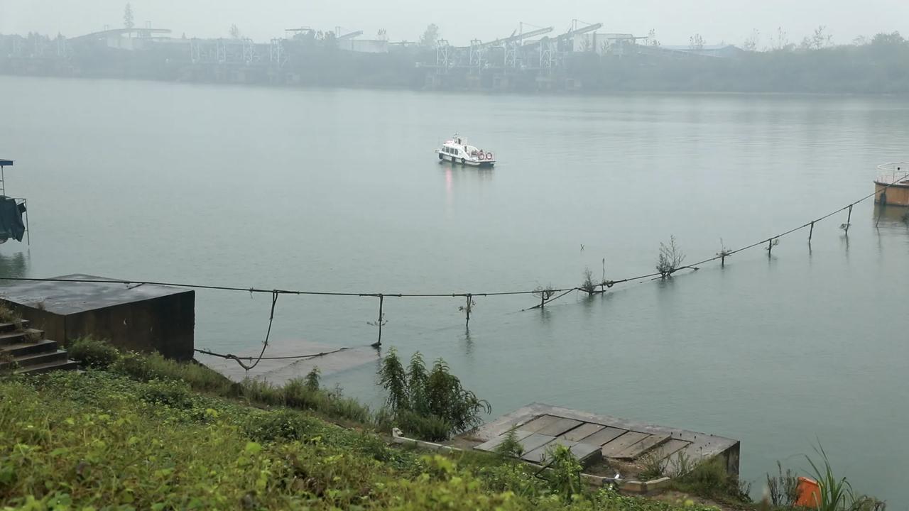 近日，长沙望城区湘江畔一派热闹景象，一盆盆活蹦乱跳的鱼苗被依次倒入鱼槽，顺着人工