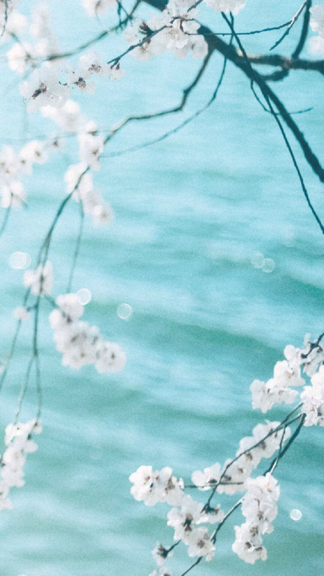 过度善良是软弱，一味包容是纵容，待人温柔，亦要有锋芒。—— 环球读书 