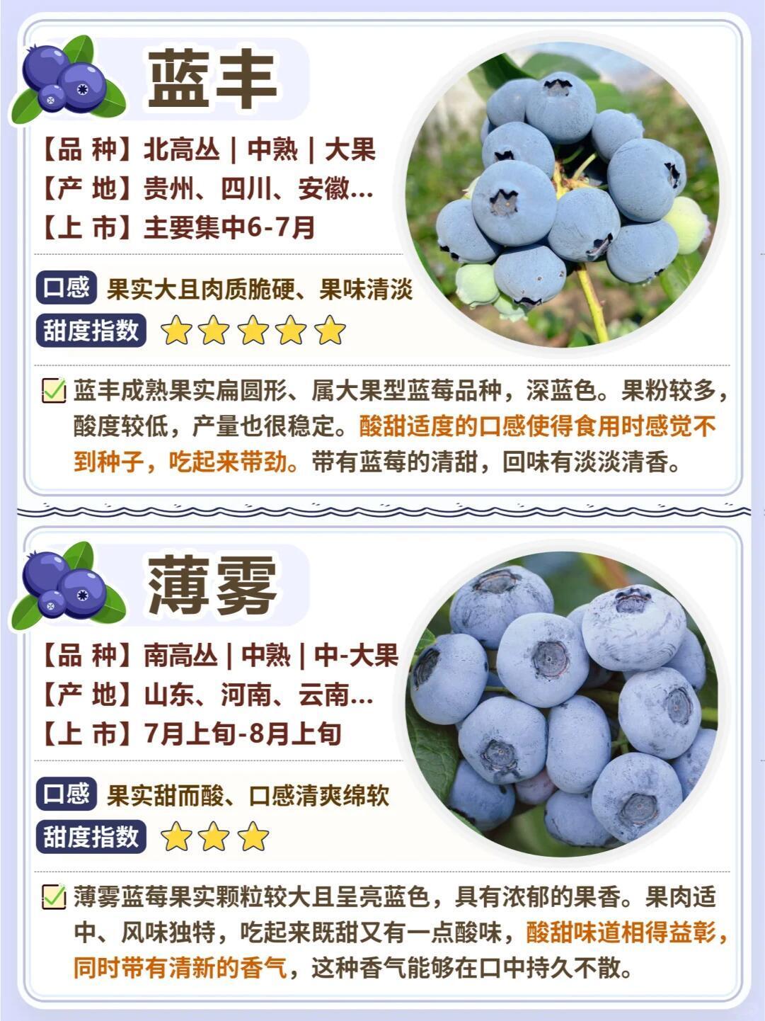 16种常见蓝莓品种小科普,不知道的收藏吧🌈《16种常见蓝莓品种小科普✅口感描述