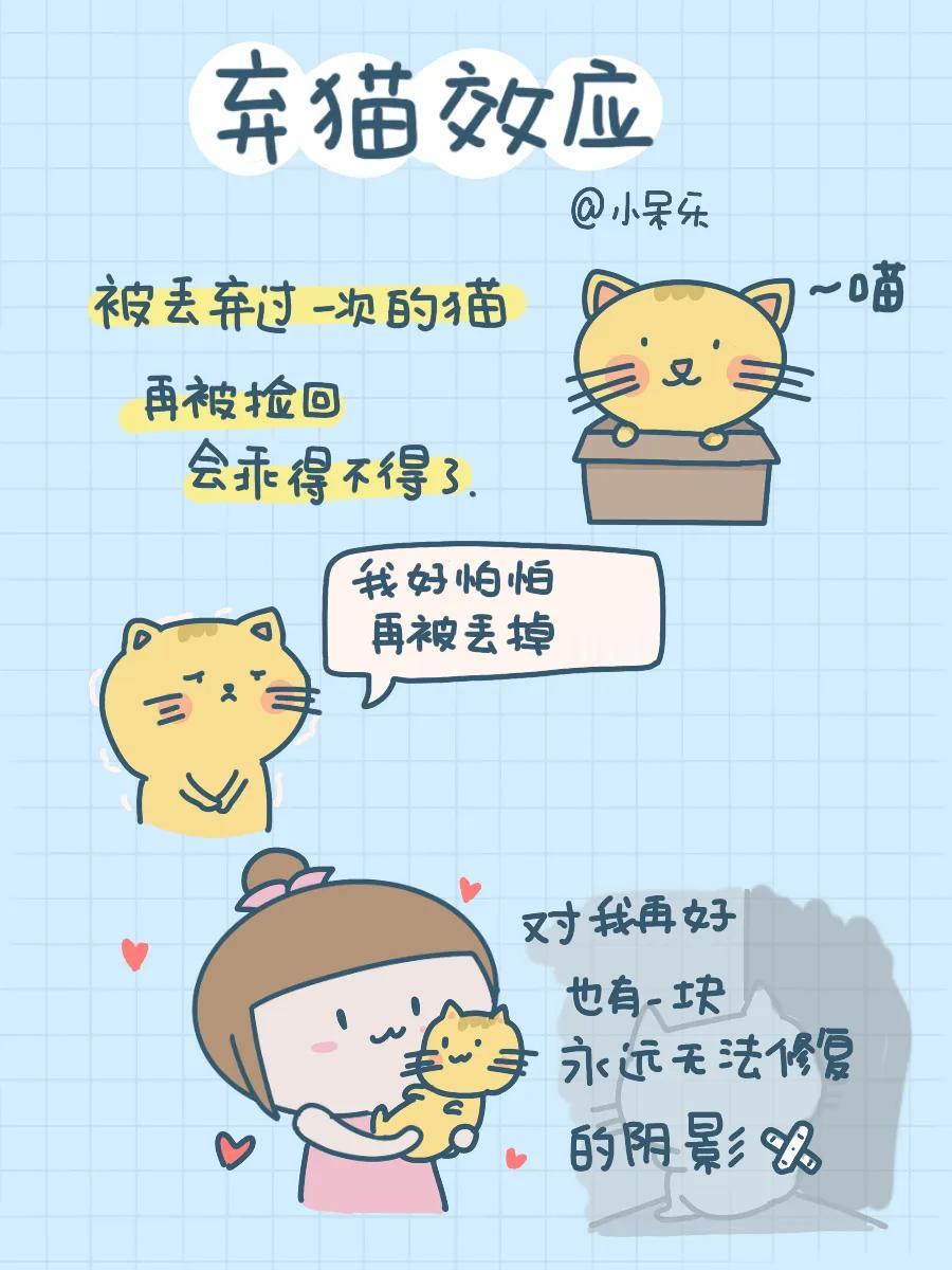 被丢过一次的猫
再回到主人身边
会变得无比的乖巧

敏感的猫主子
心里的那块灰色