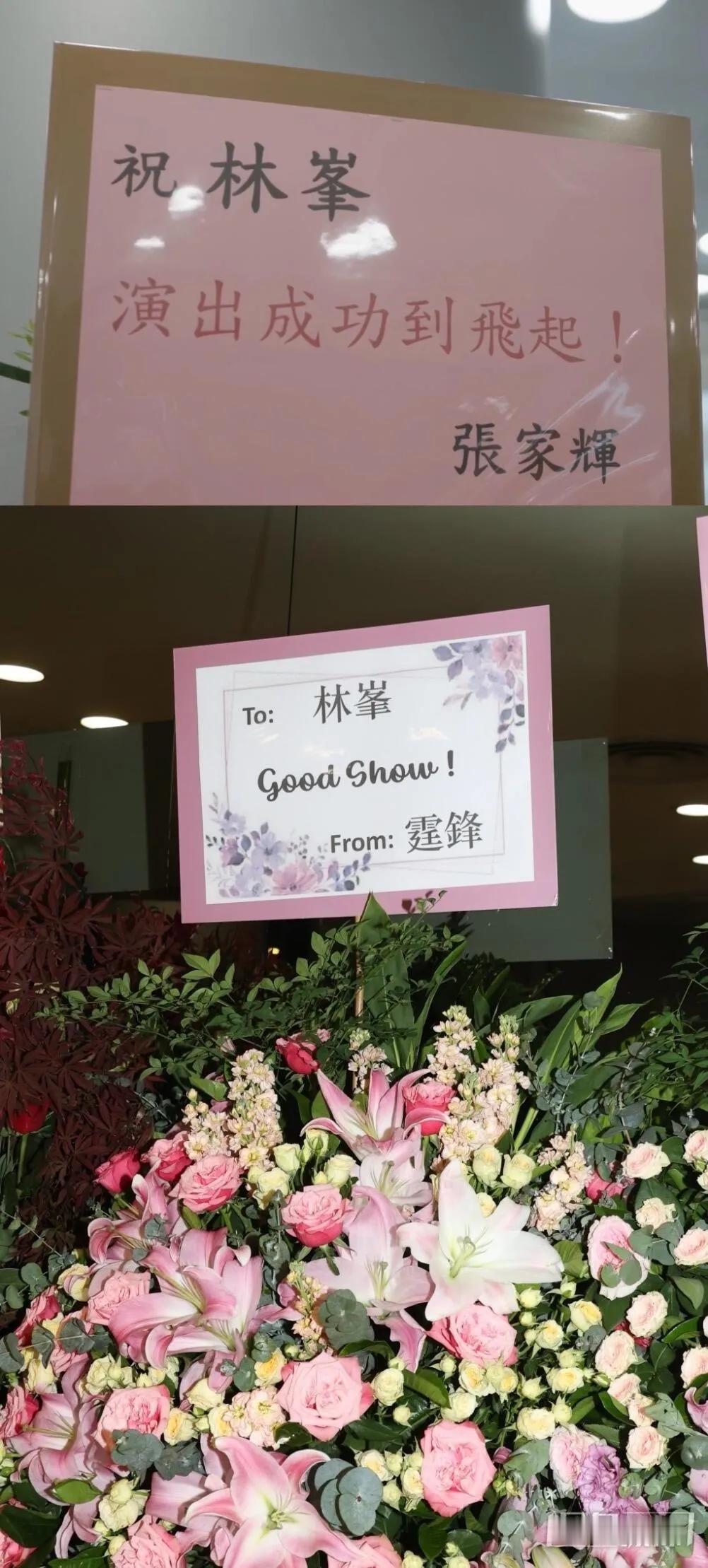 快来看看林峯演唱会，各大明星送的花篮！

让我万万没想到的是，何超莲也给林峯给花